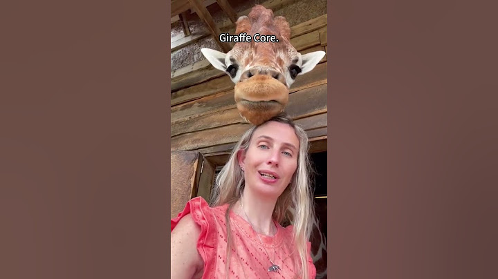 Nejvtipnější žirafy internetu! 😂 #shorts