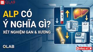Xét nghiệm ALP có ý nghĩa gì? | QLAB