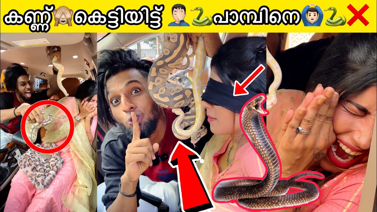 Snake  prank   