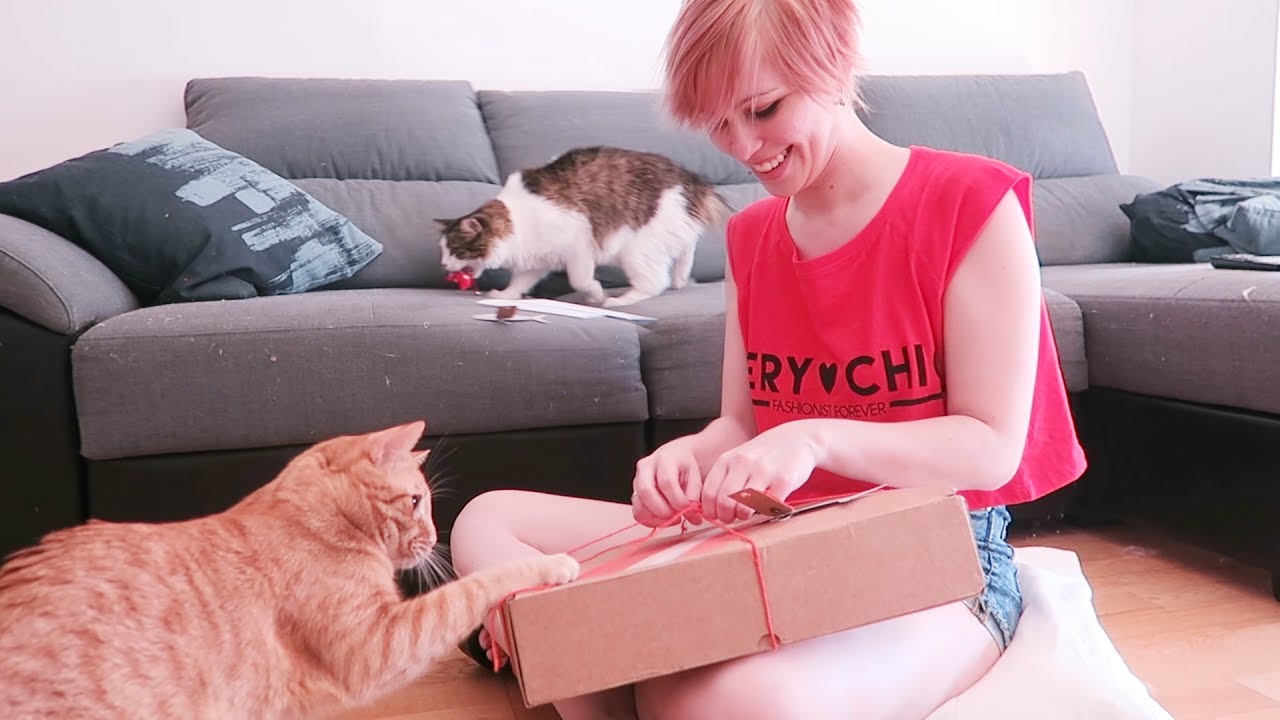 UNBOXING CAJA PARA MIS GATITOS