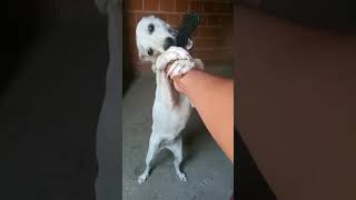 Vcs Tava Com Sdde Da Lolinhaa