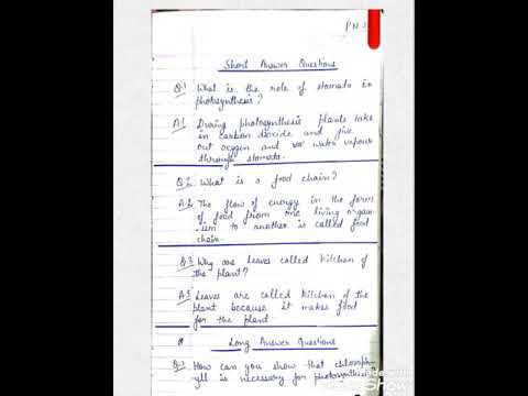 Cordova Science Class 4 Chapter 7 Green Plants (Question- Answer) - YouTube