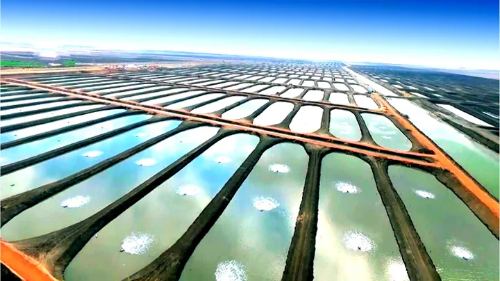 China's Unbelievable Large High-Tech Fish Farms Revealed - DayDayNews