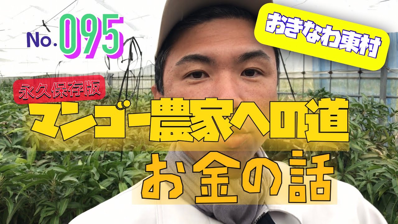 リアルな話】マンゴー農家って儲かる💕パート7 - YouTube