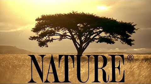 ULTIMATE PBS NATURE THEME VIDEO