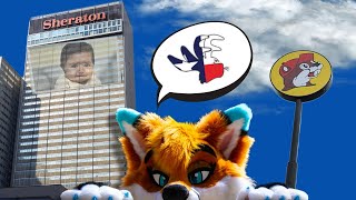 Texas Furry Fiesta 2024- Lets go Fursuiting!