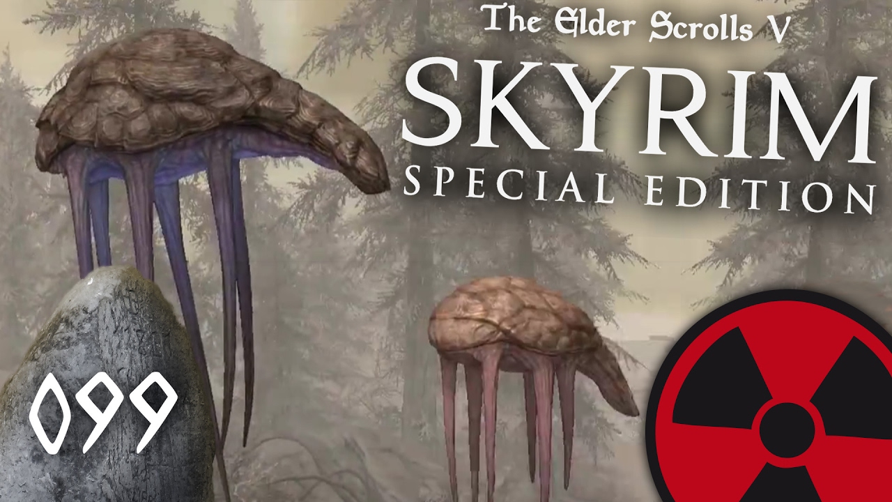 skyrim special edition deutsch patch