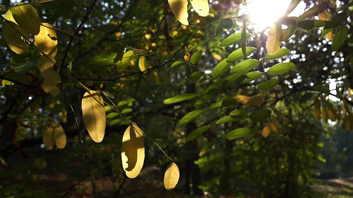 Five-minute meditation