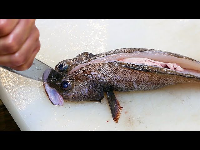 Japanese Street Food - DARK SLEEPER PERCH FISH Okinawa Seafood Japan