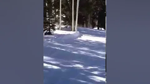 First time skiing for me and my brother