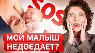 СДЕЛАЙ ЭТО для РЕБЕНКА! Консультант по ГВ о ПРАВИЛЬНОМ КОРМЛЕНИИ МАЛЫША