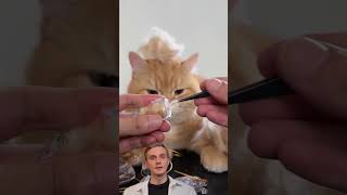 Сувениры из шерсти #бизнес #идеи #маркетинг