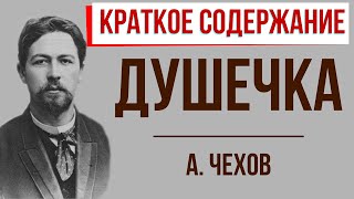 Душечка. Краткое содержание