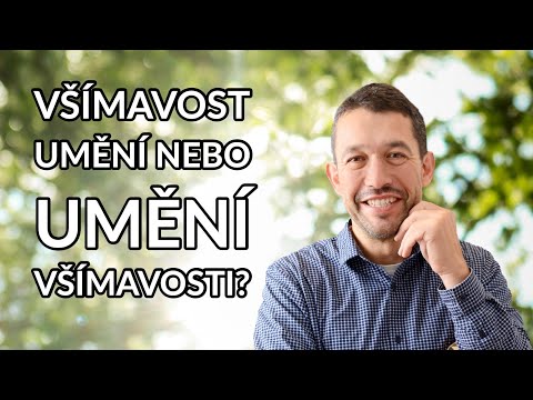 Video: Na umění a všímavost?