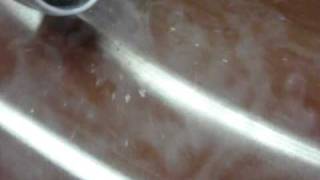 Leidenfrost effect in liquid nitrogen Net Worth