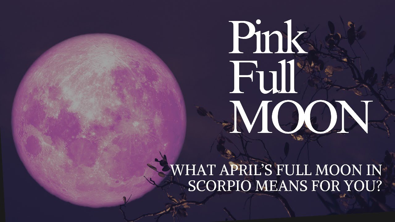 April Scorpio Full moon for you| Energy of Pink Moon| Ojasastrojyot ...