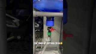 How Much Salt To Hatch Brine Shrimp Eggs In The Big Tank 20 Liters???