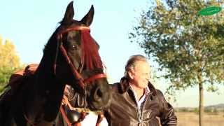 Vidéo: Bridon Jerezana avec drapeau