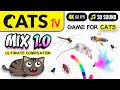 Cat tv  mix 1 ultimate compilation  game for cats  