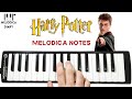 Harry potter  hedwigs theme  melodica tutorial notes