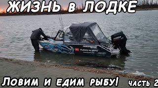 ЖИЗНЬ в лодке! На рыбалке осенью! Рыбалка на спиннинг.