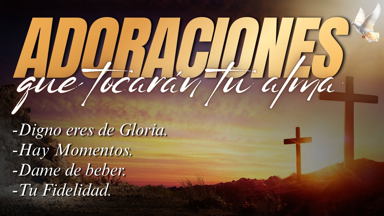 🙏 ADORACIONES QUE TOCARÁN TU ALMA | Medley de Adoración en Vivo Alabanzas Cristianas 2026