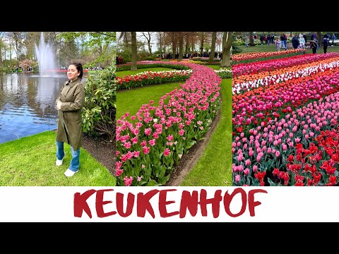 Влог Королевский Парк Тюльпанов Keukenhof! | Райское Место | Нидерланды-2023 | Жизнь В Германии