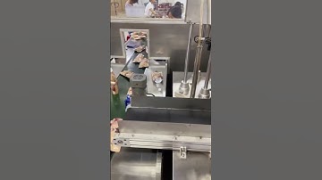 Automatic rotary two head spout pouch filling capping machine