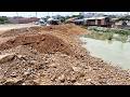 Great job! Amazing Heavy equipment in motion—SHANTUI dozer and dump trucks working together smoothly