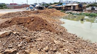 Great job! Amazing Heavy equipment in motion—SHANTUI dozer and dump trucks working together smoothly