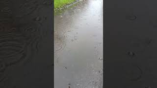 Прифронтова зона на зв'язку