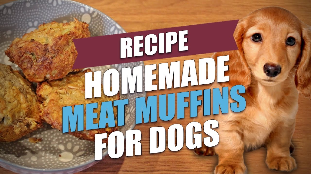 Homemade Meat Muffins for Dogs Recipe YouTube