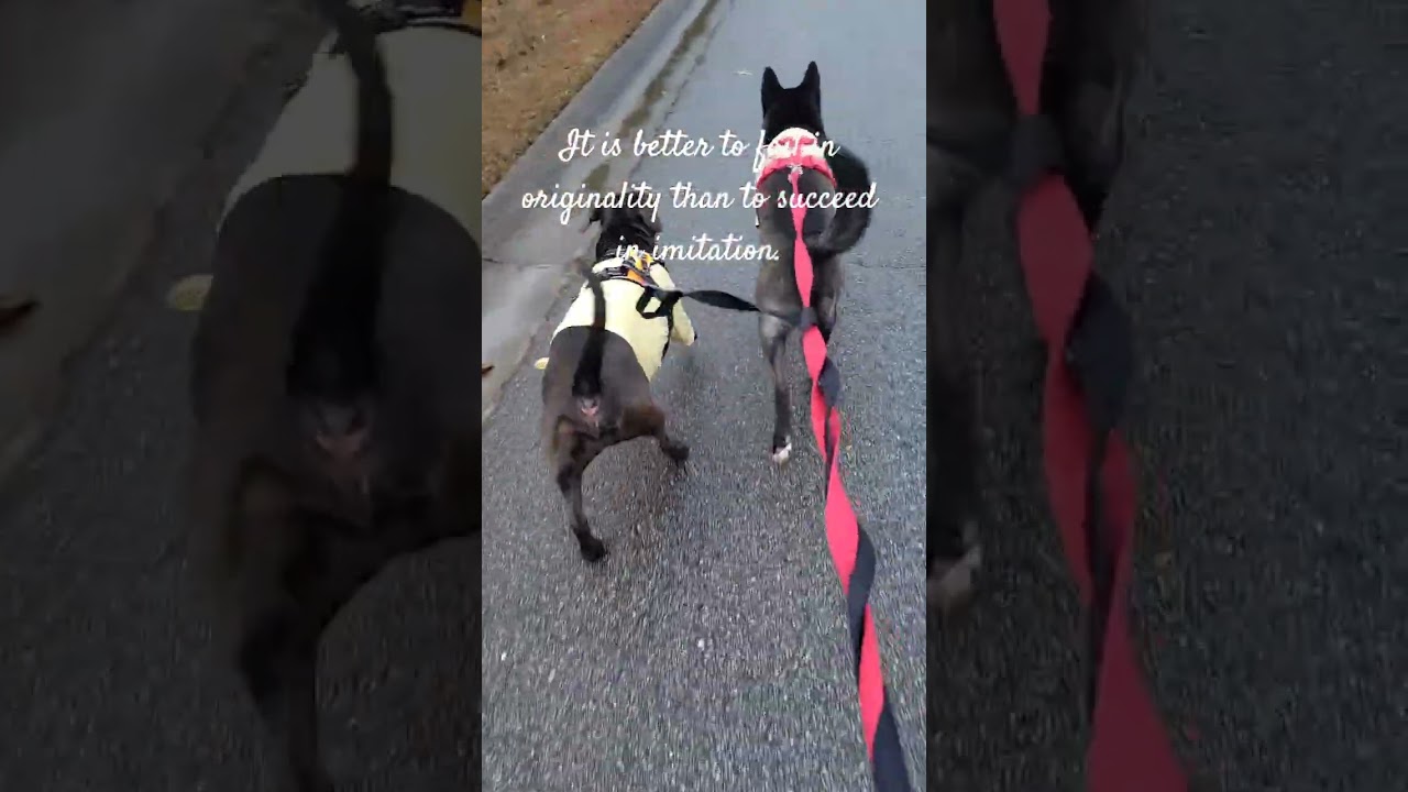 It is better to fail in originality than to succeed in imitation.