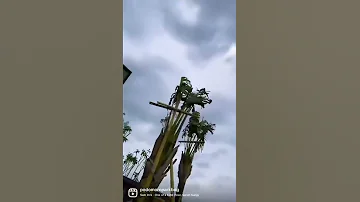 Tampilan Hunian Mewah Tepi Danau Shorts Shortsvideo Viral Danau Rumahdanau 