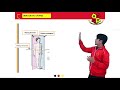 26+ Materi Dasar Anatomi Fisiologi Manusia