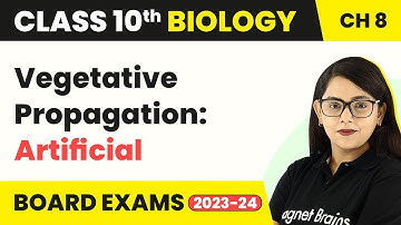 Class 10 Biology Chapter 8|Vegetative Propagation: Artificial-How Do Organisms Reproduce?