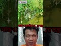Fish & Crab Catching Device | মাছ ও কাঁকড়া ধরার যন্ত্র #motivation #funny