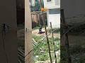 अपनी बीबी को मरते शर्म नहीं  आया😡||#safe #wife #