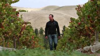 Saint Clair Family Estate Story - Thirsty Work