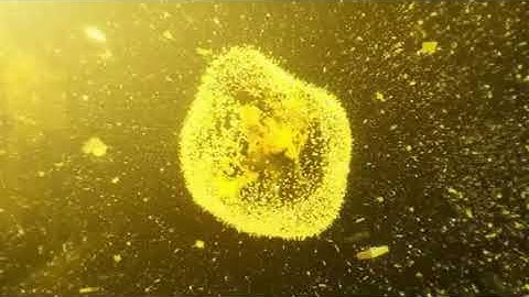 [DDR A20] The History of the Future [BGA]