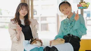 Watch Sasamori Miyu Kaori "Densetsu no Ikimono - Chosa Roke in Hakodate" Trailer