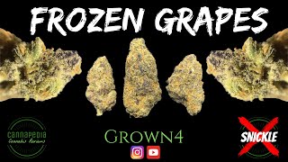Frozen Grapes Strain Review - Grown4 - Cannapedia