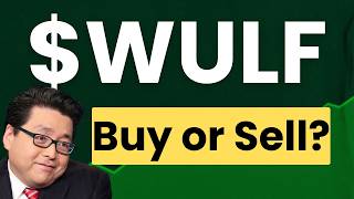 WULF Stock (Terawulf stock) WULF STOCK analysis WULF STOCK PREDICTION in WULF stock news today