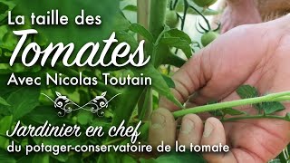 Les bases indispensables de la taille des tomates, avec Nicolas Toutain.