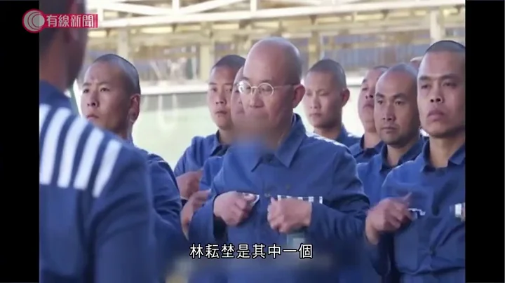 紀委反腐片揭穿政治掮客蘇洪波面目 - 20200508 - 有線中國組 - 有線新聞 CABLE News - 天天要聞