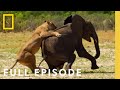 Surving the Grasslands (Full Episode) | Hostile Planet