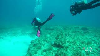 Florida Keys Diving