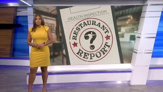 Restaurant Report: 3 restaurants closed because of rodents