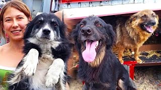 видео: Нервная финалочка! Моник летит на 4-ый этаж! Приемная комиссия в восторге! Открытие ЖК картинка: Нервная финалочка! Моник летит на 4-ый этаж! Приемная комиссия в восторге! Открытие ЖК