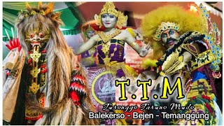 Jaran Kepang TTM BALEKERSO ‼️ TURONGGO TARUNO MUDO TERBARU